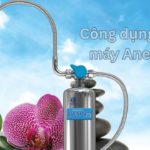 Đặt điểm cấu tạo và công dụng chính của máy Anespa? 
